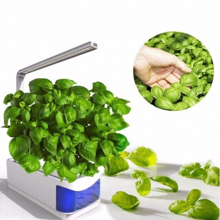 Grow Light For Indoor Herbs Smart Indoor Herb Garden Planter Kit Led Grow Light Image 340