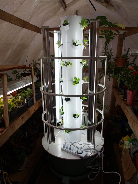 Grow Lights For Tomatoes Tower Garden Tomato Cage Instructions - Garden Ftempo Picture 620