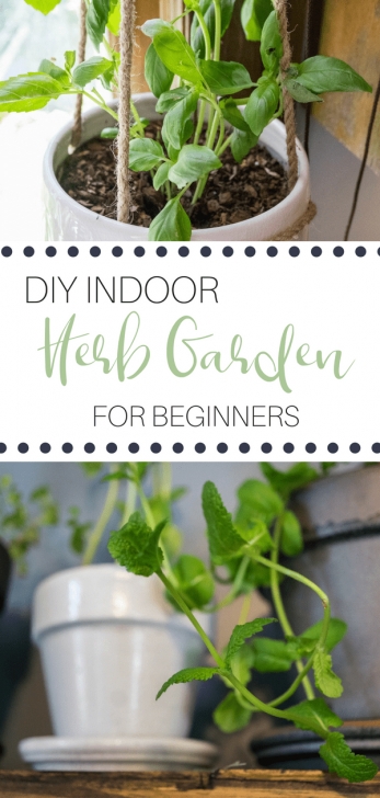 Grow Your Own Herbs Indoors Indoor Herb Gardening For Beginners | Gardening For Image 085