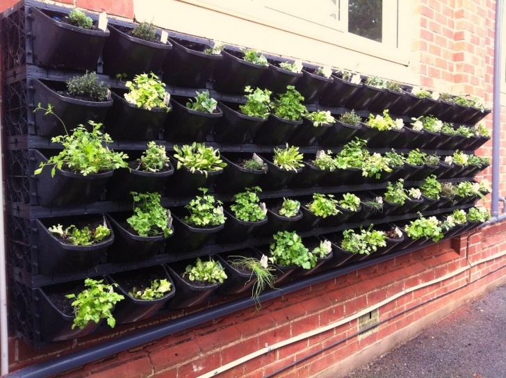 Growing A Vegetable Garden Vegetable Garden Ideas - Mr Stacky Vertical Gardens Photo 846