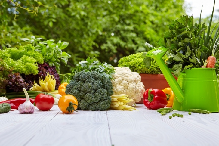 Growing A Vegetable Garden Vegetable Gardening For Beginners: The Complete Guide Picture 269