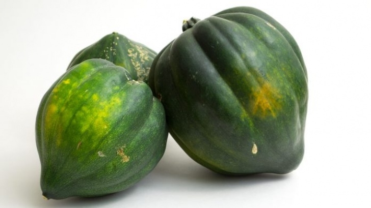 Growing Acorn Squash Roasted & Mashed Acorn Squash Recipe Photo 668