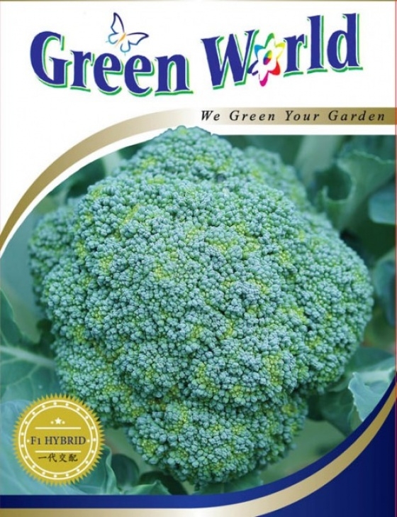 Growing Broccoli In Summer Broccoli Summer Green (50 Seeds)Wht Wellgrow Seeds | Wht Picture 890