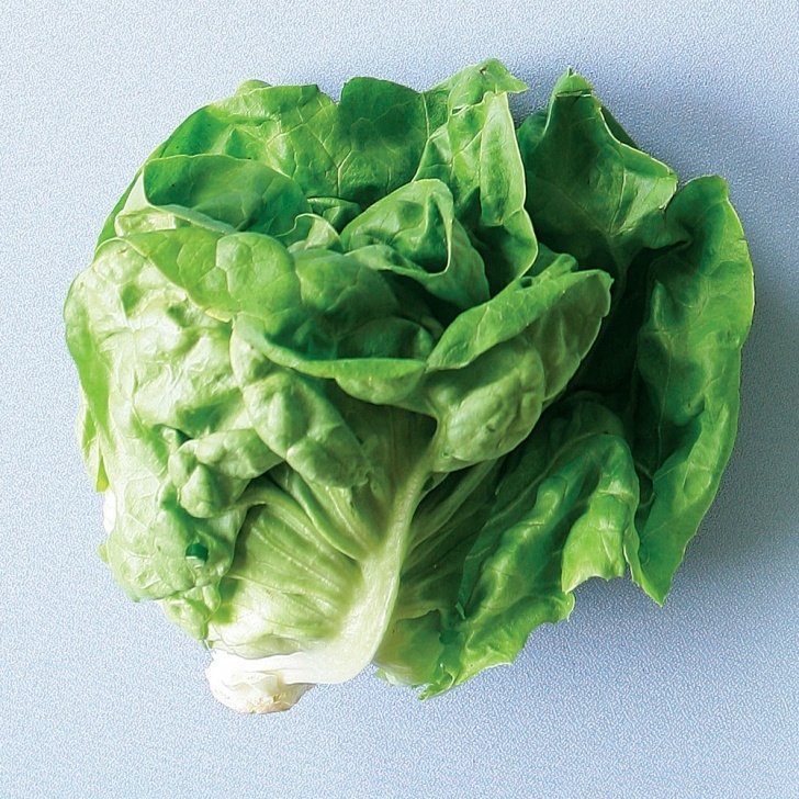 Growing Butter Lettuce Butter Lettuce - Ingredient - Finecooking Photo 298