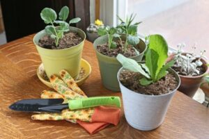 Growing Carrots Indoors Under Lights How To Grow An Indoor Vegetable Garden | Hunker Image 904