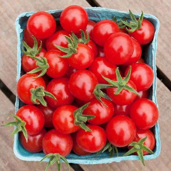 Growing Cherry Tomatoes In Pots How To Grow Cherry Tomatoes In Pots - Plant Instructions Picture 823