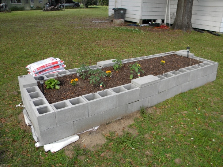Growing Corn In Raised Beds Booth'S Little Farm: Corn Patch, Potting Table, And Raised Photo 475