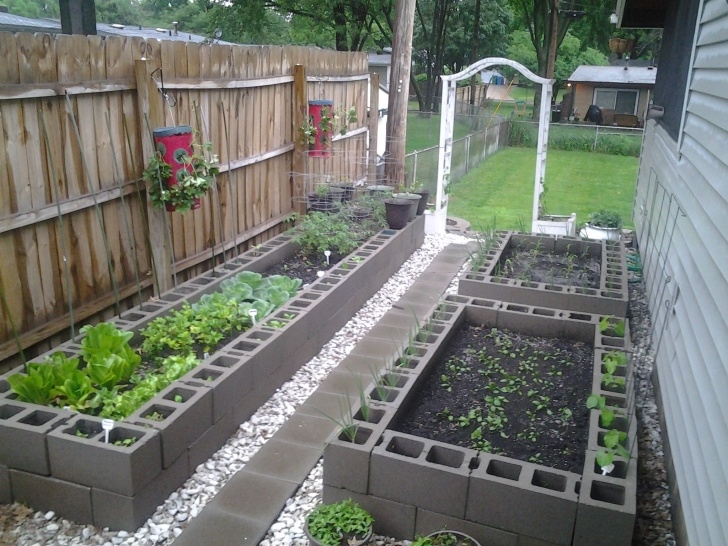 Growing Corn In Raised Beds Veggies Growing. Corn In The Back Right Bed With Onions In Picture 372