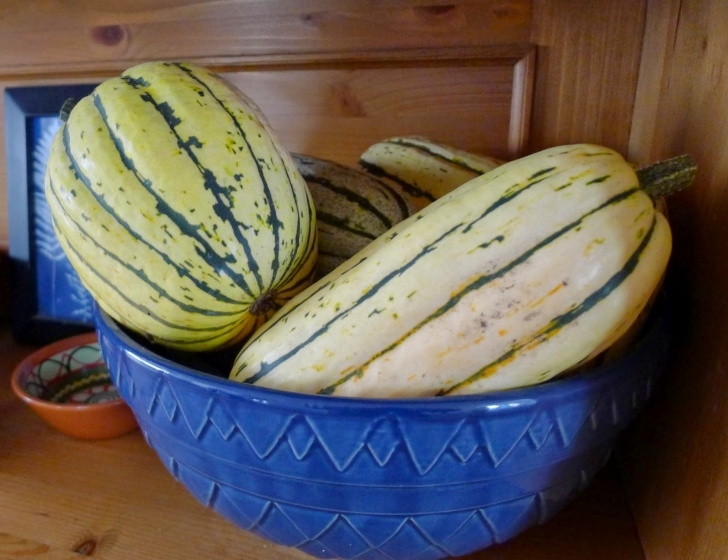 Growing Delicata Squash Less Noise, More Green: Stuffed Delicata Squash Image 594