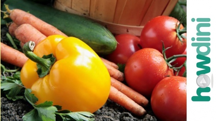Growing Fruits And Vegetables Organic Gardening: How To Grow An Organic Vegetable Garden Photo 043