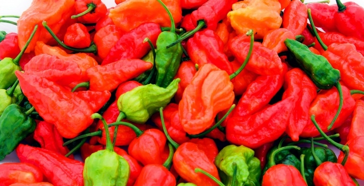 Growing Ghost Peppers How To Grow Ghost Peppers | Stuffed Peppers, Ghost Peppers Photo 598