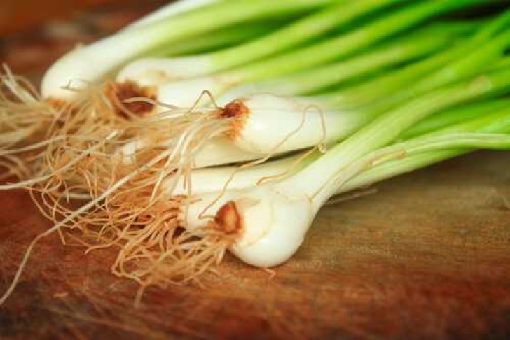 Growing Green Onions Indoors 7. Green Onions - 7 Great Vegetables To Grow Indoors Photo 158