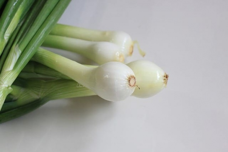 Growing Green Onions Indoors Growing Green Onions In Water Image 665