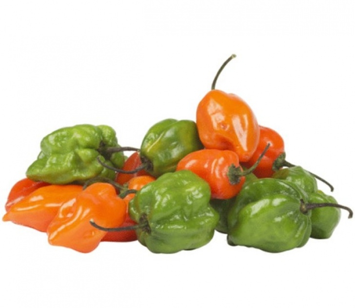Growing Habanero Peppers How Long Does It Take For Habanero Peppers To Grow? | Hunker Picture 711