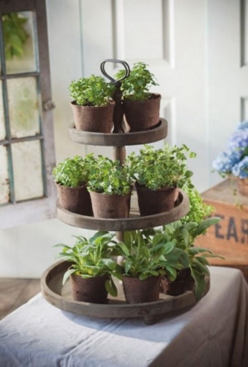 Growing Herbs In Pots Indoors 25 Cool Diy Indoor Herb Garden Ideas - Hative Picture 740