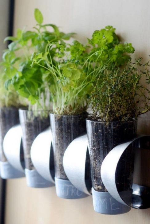 Growing Herbs In Pots Indoors Diy Indoor Herbs Garden Ideas Picture 378
