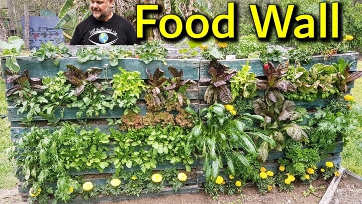 Growing In Small Spaces 3 Gardening Upcycling Hacks For Growing In Small Spaces Picture 358