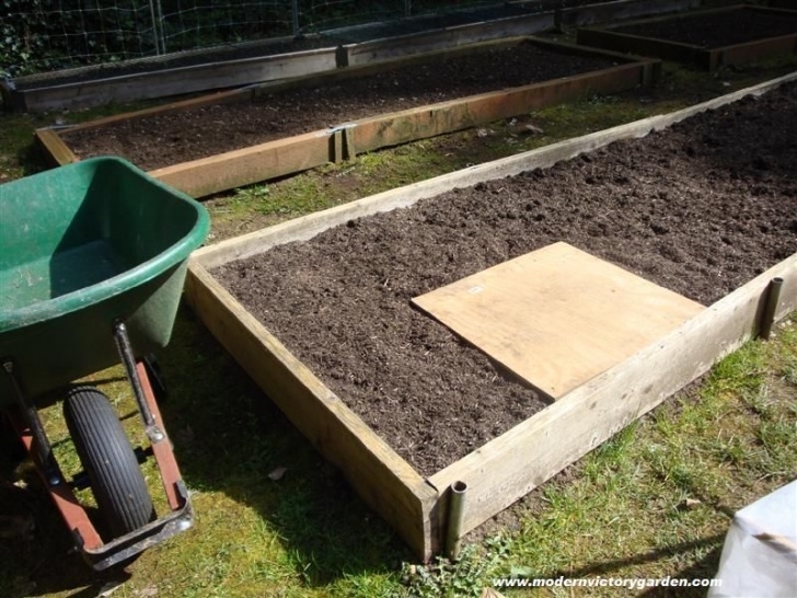 Growing Potatoes In Raised Beds Growing Potatoes In Raised Boxed Beds - John Jeavon'S Photo 700