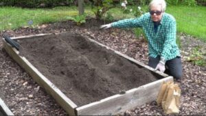 Growing Potatoes In Raised Beds How I Plant Potatoes In A Raised Bed | Planting Potatoes Image 918 Growing Potatoes In Raised Beds How I Plant Potatoes In A Raised Bed | Planting Potatoes Image 918