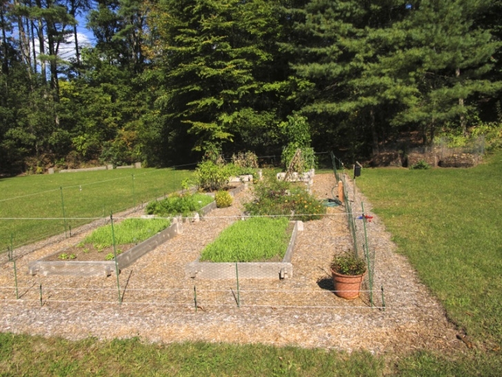 Growing Pumpkins In Raised Beds Edible Landscapes And Vegetable Gardens | Pumpkin Brook Picture 626