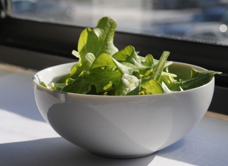 Growing Salad Greens Indoors Growing Lettuce Indoors, Urban Gardening: Gardener'S Supply Photo 716