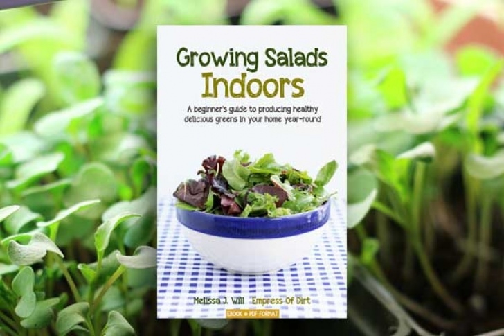 Growing Salad Greens Indoors Growing Salads Indoors—Year-Round - Empress Of Dirt Picture 141