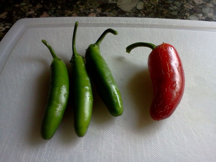 Growing Serrano Peppers Serrano Pepper | Peppermeister! Image 515