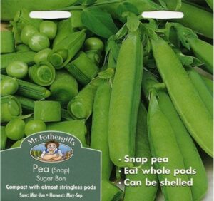 Growing Sweet Peas In Troughs Mr Fothergills Seeds Sugar Snap Pea Bon | Planting Image 230