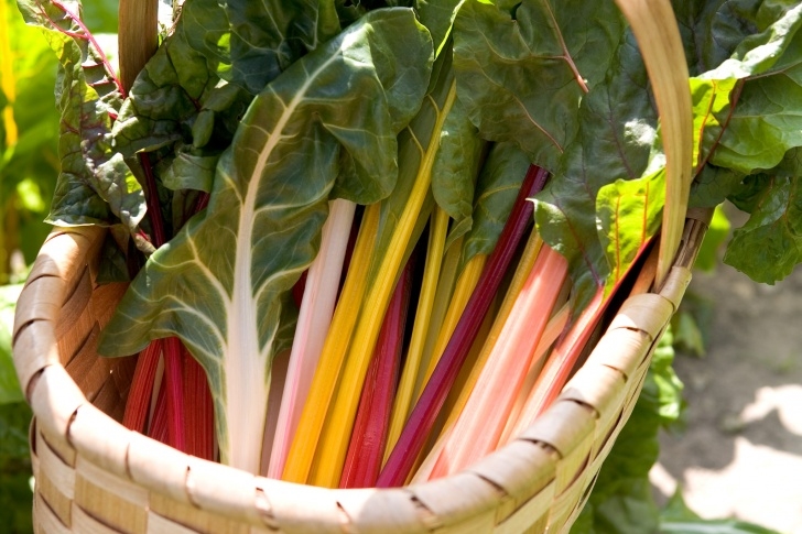 Growing Swiss Chard How To Grow Swiss Chard - Gardenersworld Image 313
