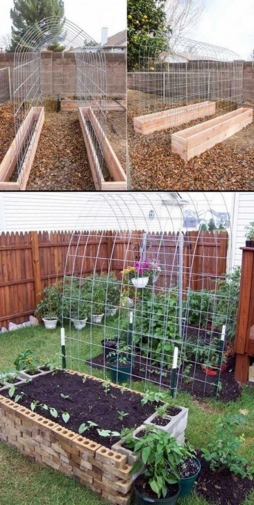 Growing Tomatoes In Raised Beds 60 Diy Raised Garden Bed Plans &amp; Ideas You Can Build Image 557