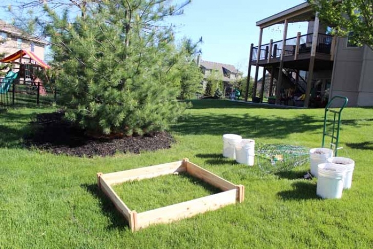 Growing Tomatoes In Raised Beds Tips For Growing Tomatoes And Other Veggies In A Small Picture 204