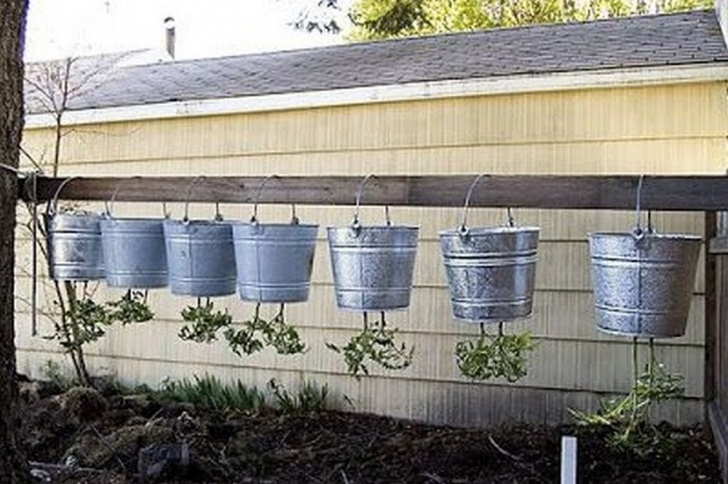 Growing Tomatoes Upside Down Grow Your Own Upside Down Tomato Planter – The Garden! Image 695