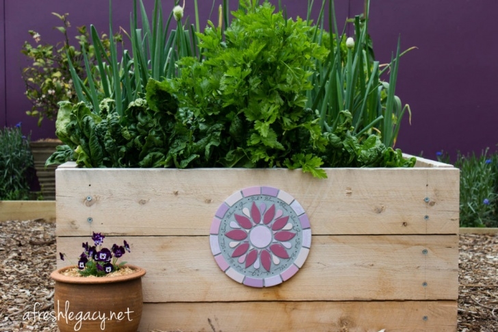 Growing Vegetables At Home The Surprising Benefits Of Growing Vegetables At Home Picture 505