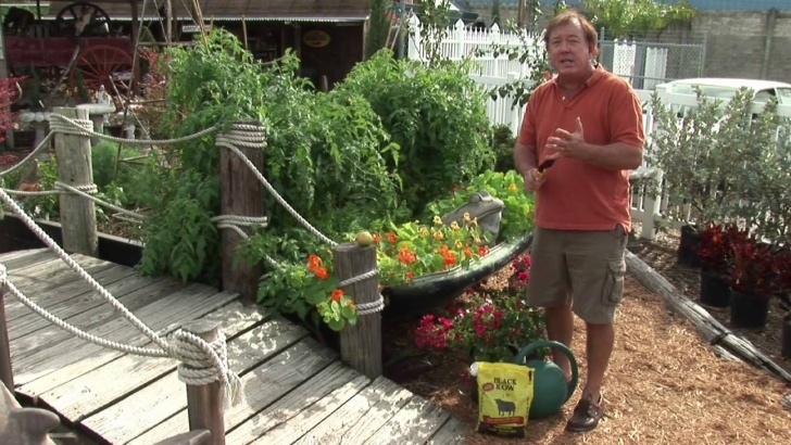 Growing Vegetables For Beginners Maintaining A Garden : Vegetable Gardening For Beginners Image 147