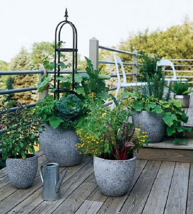 Growing Vegetables In Pots On Balcony 15 Stunning Container Vegetable Garden Design Ideas & Tips Photo 784