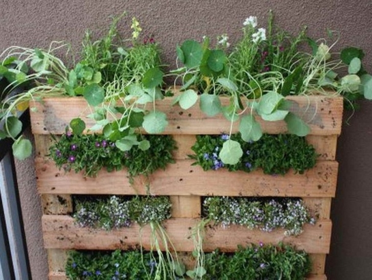 Growing Vegetables In Pots On Balcony Balcony Herb Garden Designs Containers Best Design Ideas Image 903