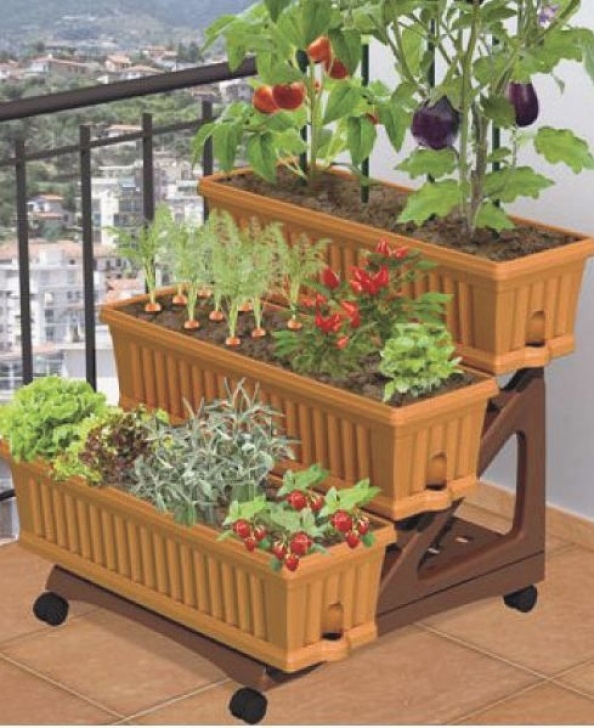 Growing Vegetables In Pots On Balcony Patio Garden/ Neat For Apartment Patio! | Apartment Herb Picture 032