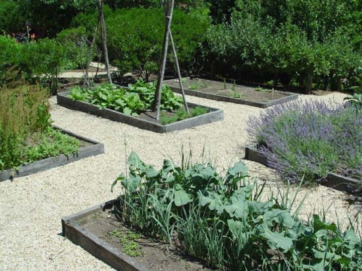 Growing Vegetables In Raised Beds 10 Tips On Growing Your Own Vegetable Garden • Preen Image 413
