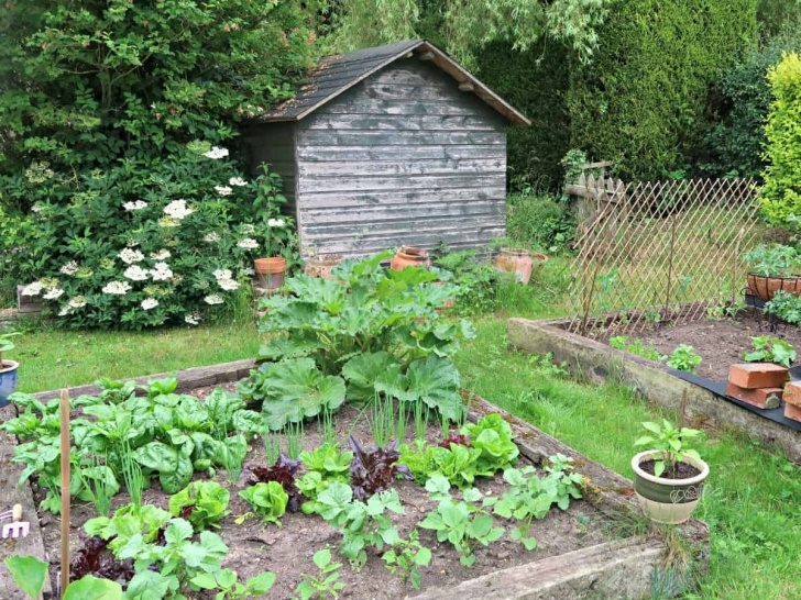 Growing Vegetables In Raised Beds 20 Advantages Of Growing Veg In Raised Beds (And 6 Image 415