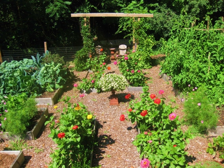 Growing Vegetables In Raised Beds Creating A Raised Bed Garden Photo 722