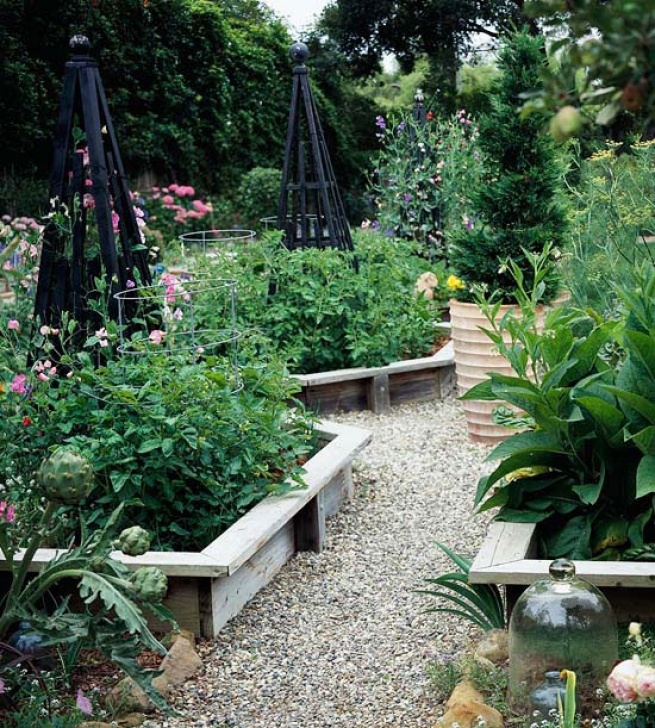 Growing Vegetables In Raised Beds Grow A Vegetable Garden In Raised Beds | Interior Ideas Photo 177