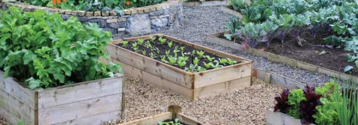 Growing Vegetables In Raised Beds How To Use Raised Beds For Vegetable Gardening Photo 488