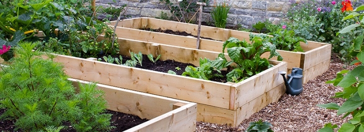 Growing Vegetables In Raised Beds Tips For Vegetable Raised Bed Gardening | Natria Image 259