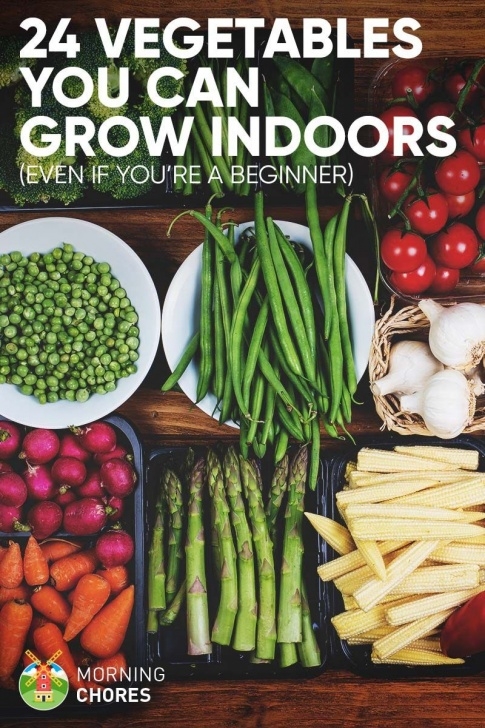 Growing Vegetables Indoors Apartment 24 Newbie-Friendly Vegetables You Can Easily Grow Indoors Image 546