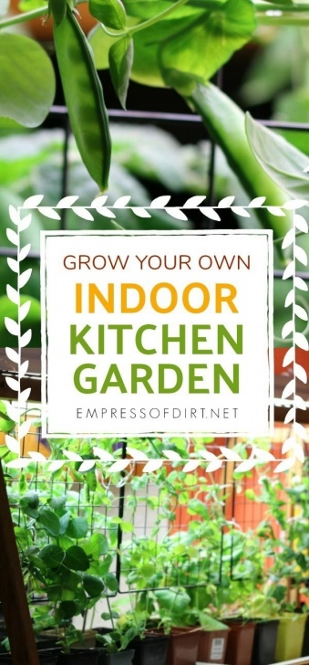 Growing Vegetables Indoors For Beginners Grow Vegetables Indoors (Easy Beginner’s Guide) | Indoor Photo 221