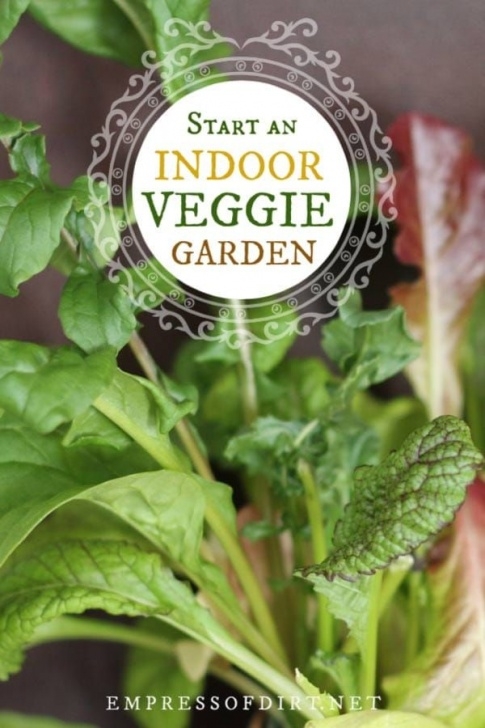Growing Vegetables Indoors For Beginners Grow Vegetables Indoors (Easy Beginner’s Guide) | Indoor Photo 307