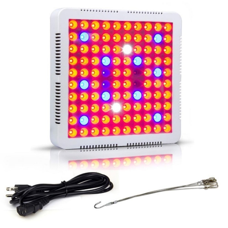 Growing Vegetables Indoors With Led Lights 300W Led Plants Grow Light Vegetable Flower Indoor Growing Picture 265