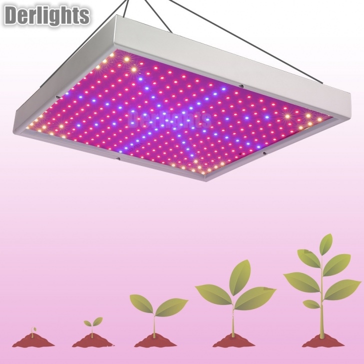 Growing Vegetables Indoors With Led Lights 30W Full Spectrum Led Grow Panel Light For Indoor Picture 098