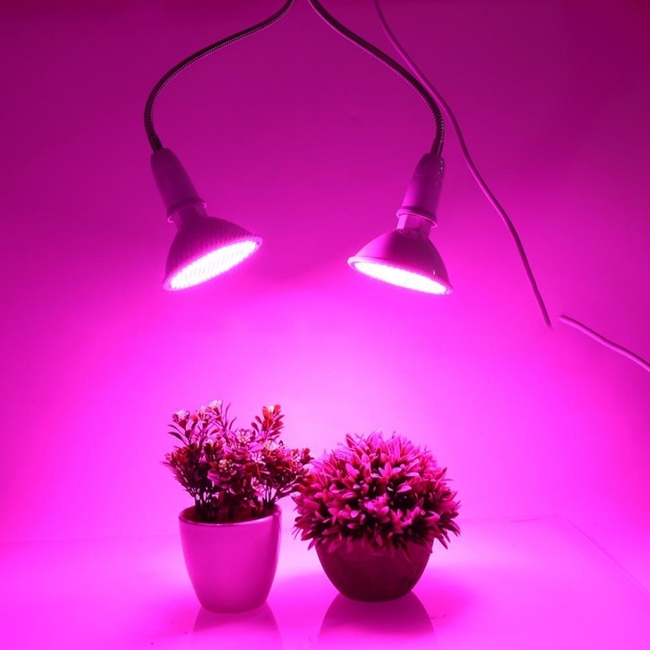 Growing Vegetables Indoors With Led Lights 4W Seedling Flower Vegetable Lights High Quality 2835 Chip Photo 524