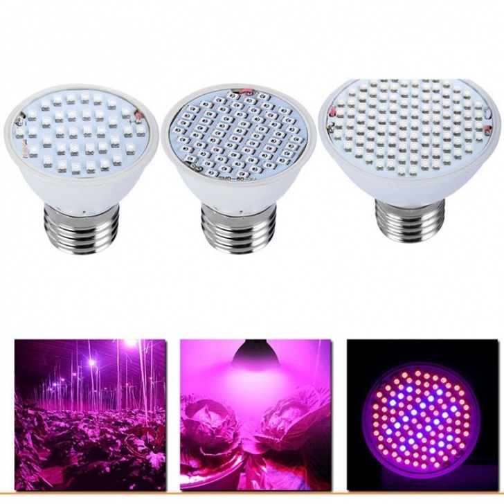 Growing Vegetables Indoors With Led Lights E27 36 Leds Plants Grow Light Uv Ir Flowers Vegetables Photo 278